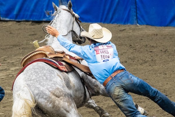 shoulder image rodeo